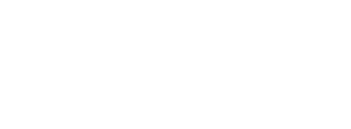 Mr. Automotive